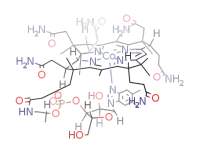 vitamin B<sub>12</sub>s