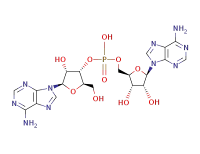 adenyl(3'-5')phophoadenine