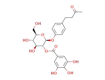 4-(4'-hydroxyphenyl)-2-butanone 4'-O-β-D-(2-O-galloyl)-glycopyranoside