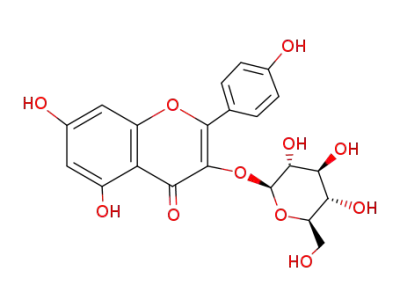 astragalin