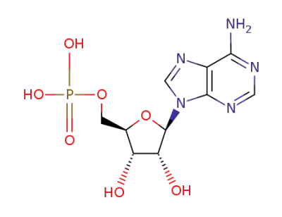 5'-adenosine monophosphate