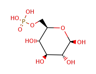 β-D-glucose 6-phosphate